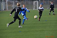 Mit Niederlage in die Winterpause Bild: Mit Niederlage in die Winterpause
