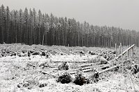 Bild: Heiligabend noch schnell auf den Brocken (2018)