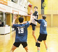 Schulamtsfinale 2019 im Handball Bild: Schulamtsfinale 2019 im Handball