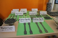 Jugend forscht an der Hochschule Nordhausen Bild: Jugend forscht an der Hochschule Nordhausen