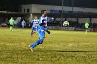 4:0 siegt Wacker gegen Fürstenwalde Bild: 4:0 siegt Wacker gegen Fürstenwalde