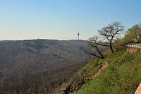 Bild: Osterspaziergang