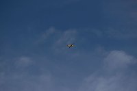 Flugtage bei Hain Bild: Flugtage bei Hain