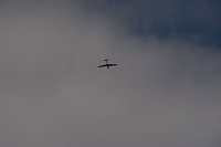 Flugtage bei Hain Bild: Flugtage bei Hain