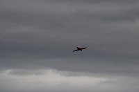 Flugtage bei Hain Bild: Flugtage bei Hain