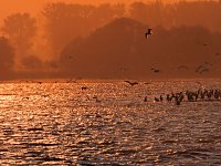 Abendstimmung am Stausee Kelbra Bild: Abendstimmung am Stausee Kelbra