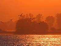 Abendstimmung am Stausee Kelbra Bild: Abendstimmung am Stausee Kelbra