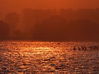 Abendstimmung am Stausee Kelbra Bild: Abendstimmung am Stausee Kelbra