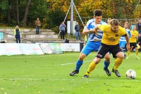 Bild: Wacker in Auerbach 