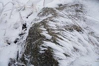Bild: Heiligabend noch schnell auf den Brocken (2019)
