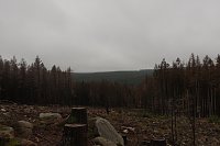 Bild: Heiligabend noch schnell auf den Brocken (2019)
