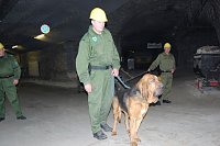 Bild: Salzstaub gesch&uuml;ffelt