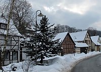 Bild: Wintergr&uuml;&szlig;e