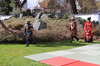 Impressionen vom Kirschblütenfest 2022 Bild: Impressionen vom Kirschblütenfest 2022