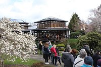 Impressionen vom Kirschblütenfest 2022 Bild: Impressionen vom Kirschblütenfest 2022
