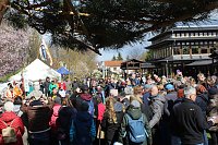 Impressionen vom Kirschblütenfest 2022 Bild: Impressionen vom Kirschblütenfest 2022