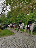 Bild: Archiv-Novalisritt 2019