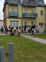 Bild: Archiv-Novalisritt 2019
