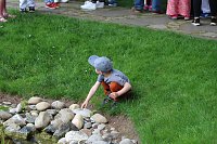 Kodomo No Hi, das Kinderfest, heute Nachmittag im Japanischen Garten Bild: Kodomo No Hi, das Kinderfest, heute Nachmittag im Japanischen Garten