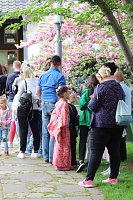 Kodomo No Hi, das Kinderfest, heute Nachmittag im Japanischen Garten Bild: Kodomo No Hi, das Kinderfest, heute Nachmittag im Japanischen Garten