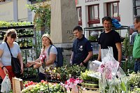 Bild: Gr&uuml;nes Innenstadtfest Bad Langensalza