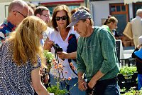 Bild: Gr&uuml;nes Innenstadtfest Bad Langensalza