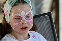 Bild: Gr&uuml;nes Innenstadtfest Bad Langensalza