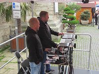 Dreitürmelauf in Bad Langensalza Bild: Dreitürmelauf in Bad Langensalza
