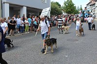 Impressionen vom Festumzug Bild: Impressionen vom Festumzug