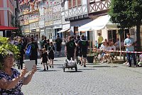 Impressionen vom Festumzug Bild: Impressionen vom Festumzug