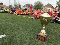 Viel Spaß hatten die kleinen Fußballer aus Langensalzas Grundschulen am Donnerstag Bild: Viel Spaß hatten die kleinen Fußballer aus Langensalzas Grundschulen am Donnerstag