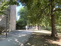 Über 150 Fahrradfahrer sind heute unterwegs nach Apolda Bild: Über 150 Fahrradfahrer sind heute unterwegs nach Apolda