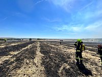 Feldbrand Bein Obermehler Bild: Feldbrand Bein Obermehler
