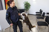 Besuch bei der Nordhäuser Hundestaffel Bild: Besuch bei der Nordhäuser Hundestaffel