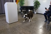Besuch bei der Nordhäuser Hundestaffel Bild: Besuch bei der Nordhäuser Hundestaffel