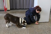 Besuch bei der Nordhäuser Hundestaffel Bild: Besuch bei der Nordhäuser Hundestaffel