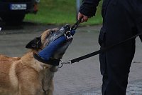 Besuch bei der Nordhäuser Hundestaffel Bild: Besuch bei der Nordhäuser Hundestaffel
