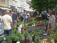 Grünes Innenstadtfest in Bad Langensalza Bild: Grünes Innenstadtfest in Bad Langensalza