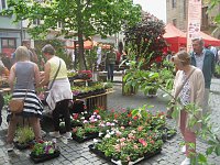 Grünes Innenstadtfest in Bad Langensalza Bild: Grünes Innenstadtfest in Bad Langensalza