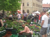 Grünes Innenstadtfest in Bad Langensalza Bild: Grünes Innenstadtfest in Bad Langensalza