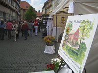 Grünes Innenstadtfest in Bad Langensalza Bild: Grünes Innenstadtfest in Bad Langensalza
