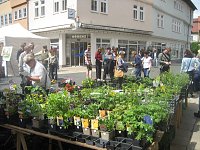 Grünes Innenstadtfest in Bad Langensalza Bild: Grünes Innenstadtfest in Bad Langensalza
