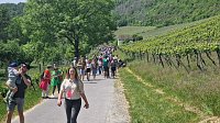 Unterwegs auf der Saale-Weinmeile Bild: Unterwegs auf der Saale-Weinmeile