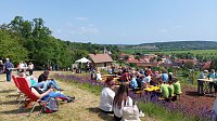Unterwegs auf der Saale-Weinmeile Bild: Unterwegs auf der Saale-Weinmeile