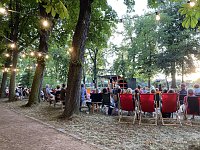 Sommerlaune im Baumpark zu Bad Langensalza Bild: Sommerlaune im Baumpark zu Bad Langensalza