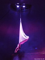 Bild: Der Circus kommt