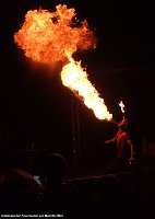 Bild: Der Circus kommt