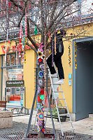"Verflixt & Zugebommelt!" in der Bad Langensalzaer Innenstadt Bild: "Verflixt & Zugebommelt!" in der Bad Langensalzaer Innenstadt