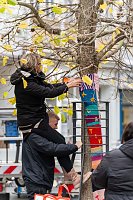 "Verflixt & Zugebommelt!" in der Bad Langensalzaer Innenstadt Bild: "Verflixt & Zugebommelt!" in der Bad Langensalzaer Innenstadt