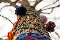 "Verflixt & Zugebommelt!" in der Bad Langensalzaer Innenstadt Bild: "Verflixt & Zugebommelt!" in der Bad Langensalzaer Innenstadt